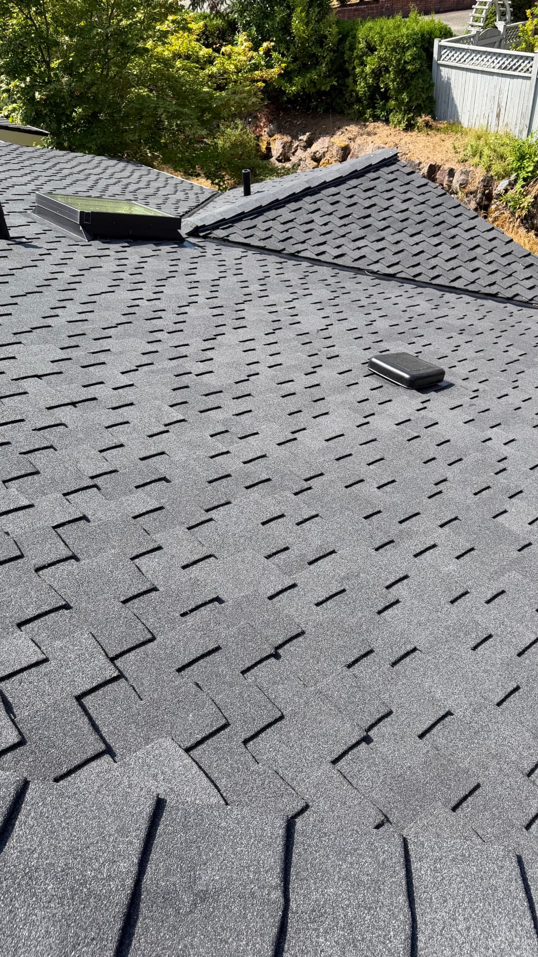 Clean shingle field with box vent and skylight on a Seattle-area home
